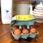 Free range eggs